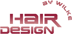 Salon Hair Design by Wilke - Friseursalon in Magdeburg - Logo