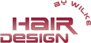 Salon Hair Design by Wilke - Friseursalon in Magdeburg - Logo